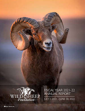 WSF Annual Report FY21-22 Cover by Ryan Baskerville